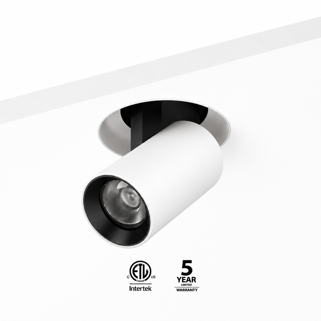 Round Trimless stretchable spotlight iKON-DL02-12W-RTL