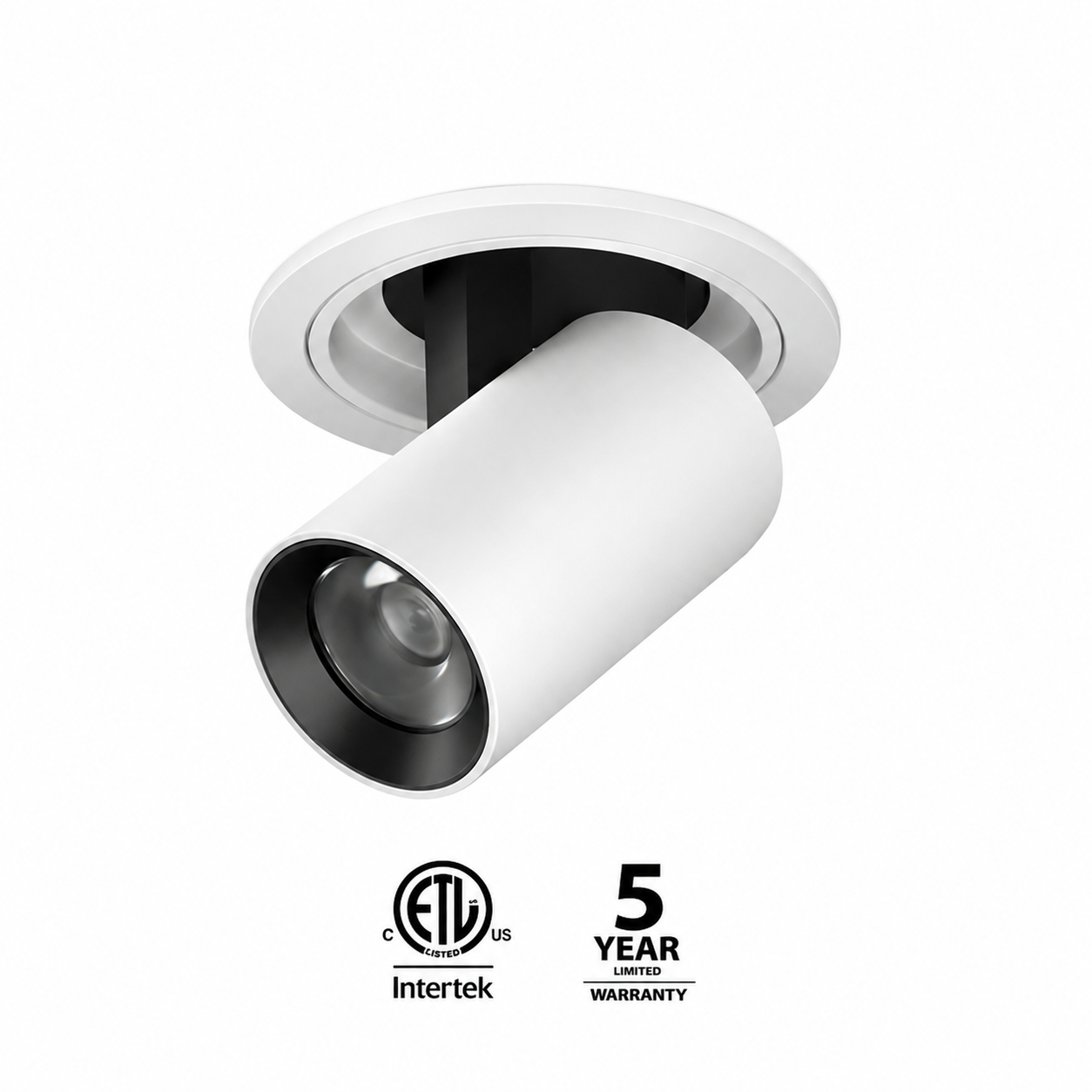 Round Trimmed stretchable spotlight iKON-DL02-12W-RT